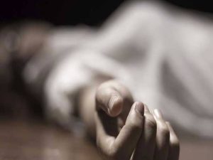 झापामा सर्पदंशबाट वृद्धाको मृत्यु